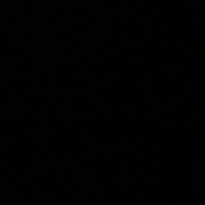 Meet your Posher, Jackson